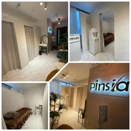 電気脱毛 Pinsia